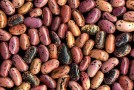 Ask Grettie – Vegans and Protein