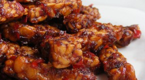 Vegan Cooking 101 – Stumped By Tempeh