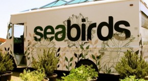 INTERVIEW SERIES – Stephanie Morgan of Seabirds