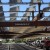 America’s Energy Alternatives