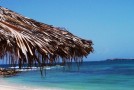 VEGAN HONEYMOONS