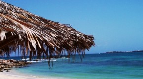 VEGAN HONEYMOONS