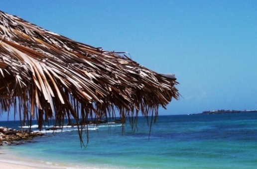 #htmlcaption_8320 VEGAN HONEYMOONS