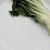 On Eating Disorders and Veganism: Is it A Road to Further Restrictions or Road to Recovery?