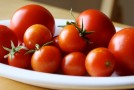 LIGHTLIFE® PARTNERS WITH URBAN FARMING