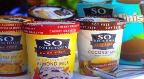 So Delicious Dairy Free Ice Cream Review