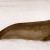 Top 5 Reasons to Go Clubbing WITH Seals