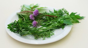 7 Herbs for the Kitchen: A Healthy Balance