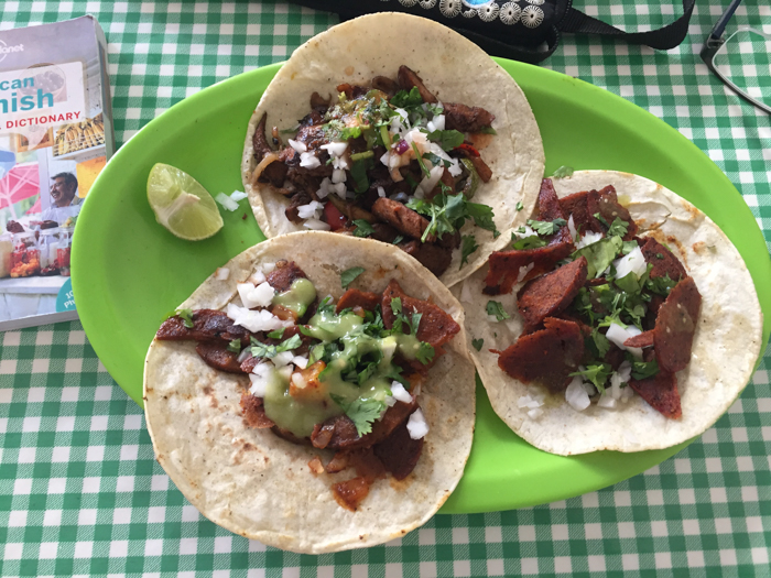Where to Eat Vegan in Puerto Vallarta Mexico - And a Vegan